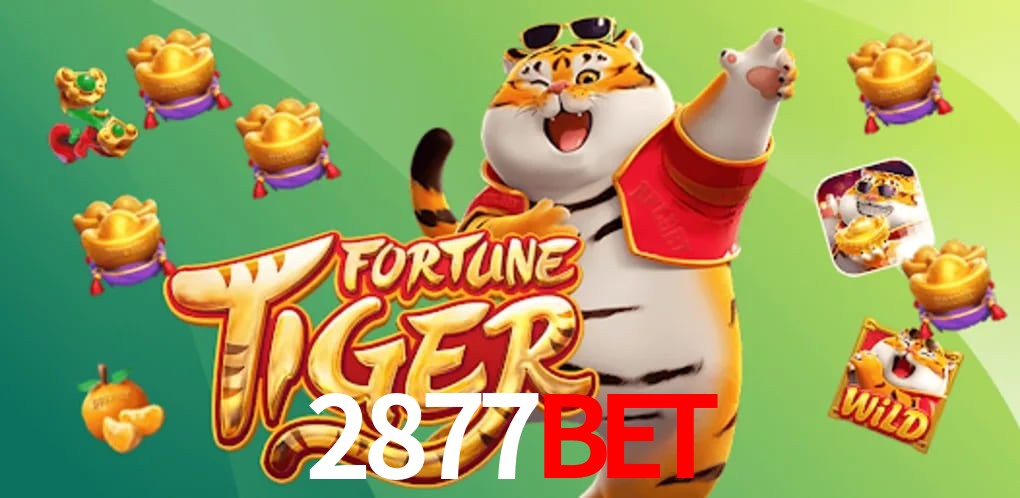 Experiência VIP 2877BET