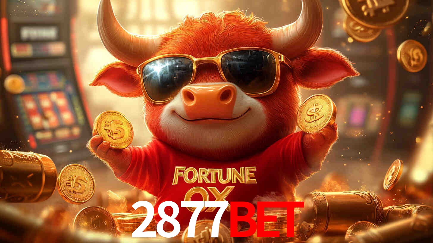 2877BET: Seu Especialista em Apostas Esportivas Brasileiras